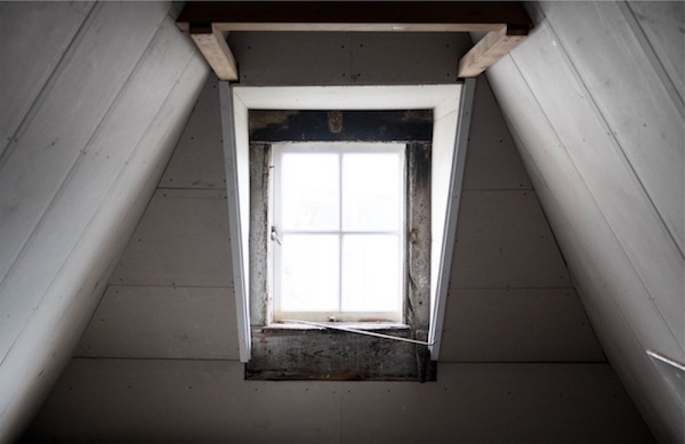 attic-window-mold-growth