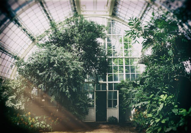 greenhouse